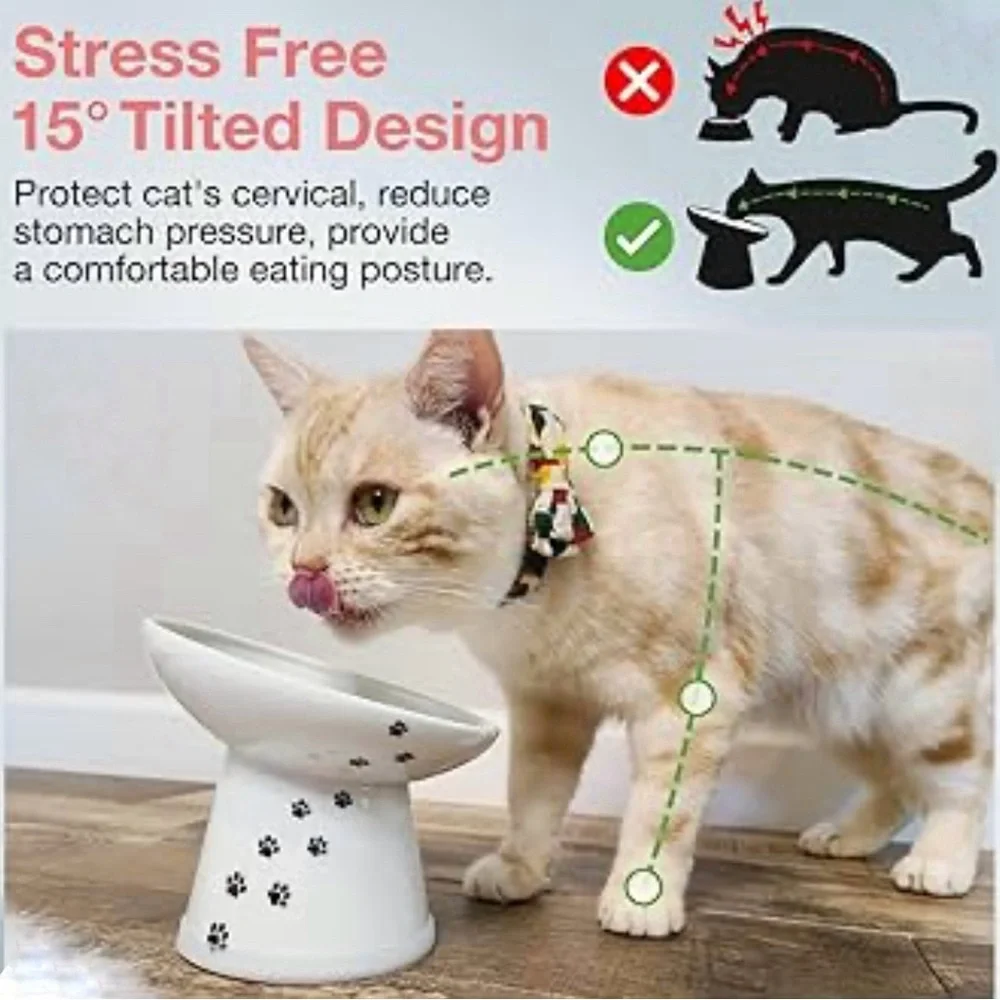 Raised Tilted Ergonomic Cat Feeder Bowl White